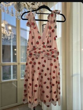 NWT Retro Stage Pink Strawberry Glitter Tulle Midi Dress XL Cottagecore